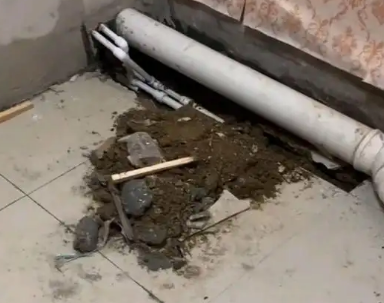大洼卫生间漏水检测哪家好