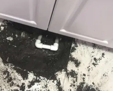 大洼查漏水哪家好
